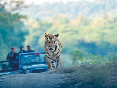 14-15-Scenic-OpVakantie-najaar-2026-ED21_page_15_item_6