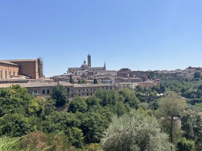Siena 1