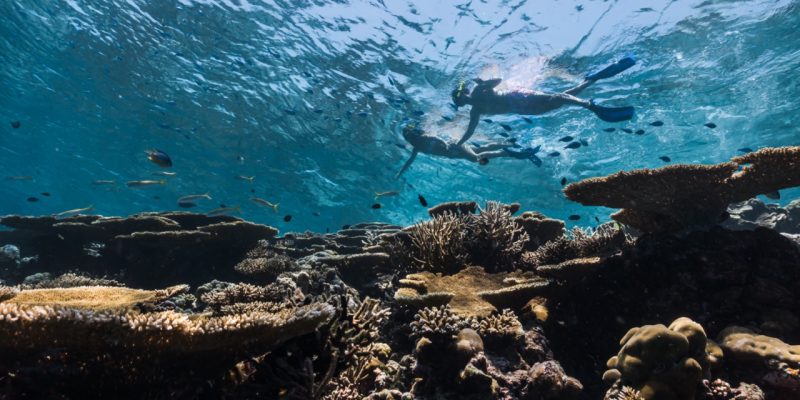 Sun-Siyam-Olhuveli-3-Groot