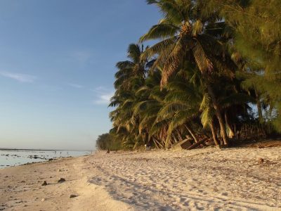 rarotonga groot