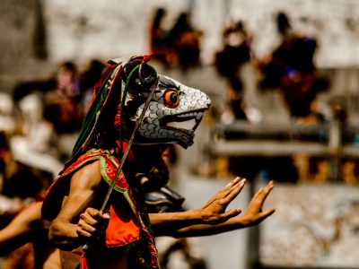 ujwal-hollica--34vn85GV6U-unsplash groot
